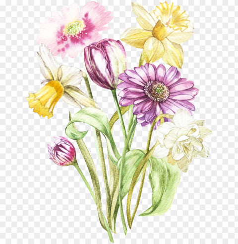 colorful hand drawn daisy flower transparent - illustratio Clear Background Isolated PNG Illustration