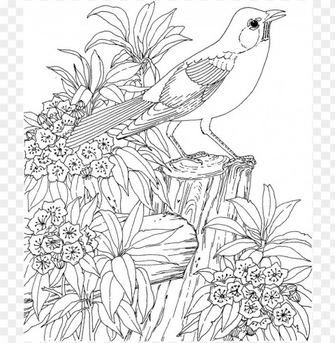 coloring pages for teenagers difficult color by number Isolated Design on Clear Transparent PNG