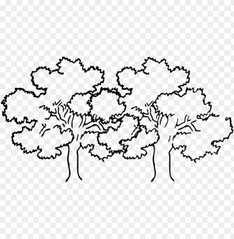 coloring pages of a narra tree - trees black and white clip art PNG images with no limitations