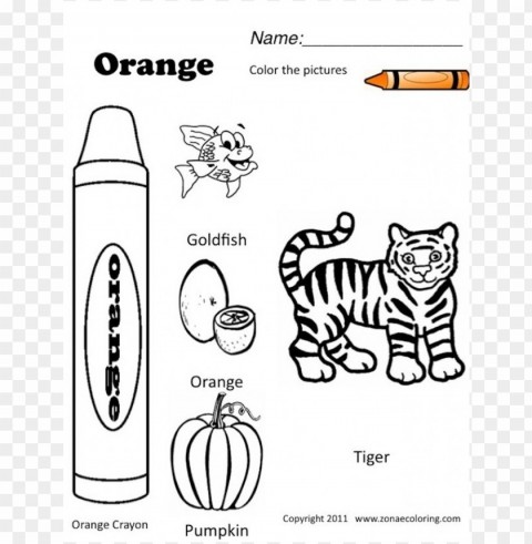 colors coloring pages things CleanCut Background Isolated PNG Graphic