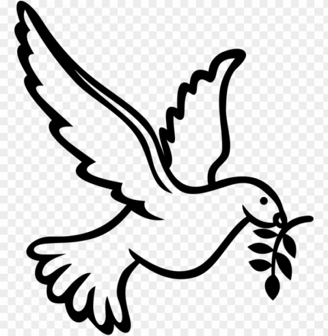 columbidae holy spirit calvary chapel west hawaii peace - doves clipart Transparent PNG Object Isolation