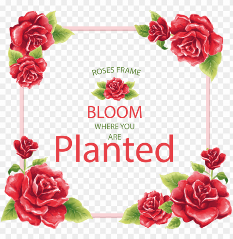 com floral frame vintage flowers red roses unicorns - prayer journal study the bible scriptures PNG images for printing