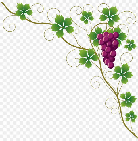 common grape vine grape leaves wine clip art - grape vine corner border PNG transparent images for websites