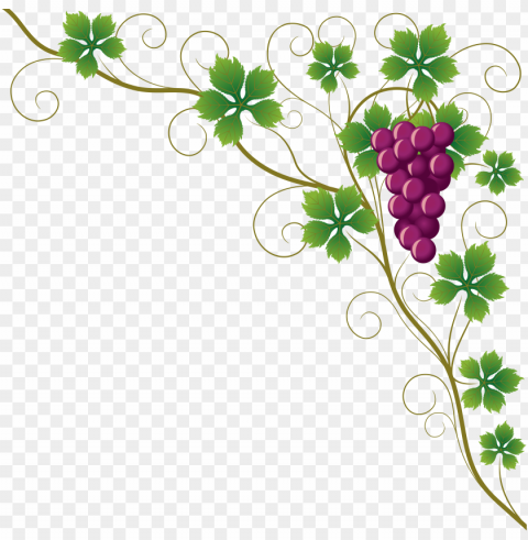 Common Grape Vine Grape Leaves Wine Clip Art - Grape Vine Corner Border PNG Transparent Images For Websites