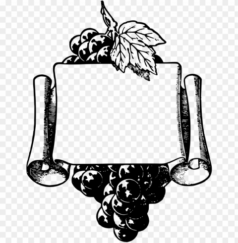 common grape vine wine picture frames fruit free commercial - grapes frame Isolated Graphic Element in Transparent PNG