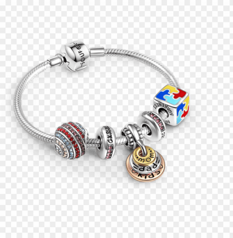 complete bracelets soufeel colorful family bracelet PNG with Isolated Object and Transparency