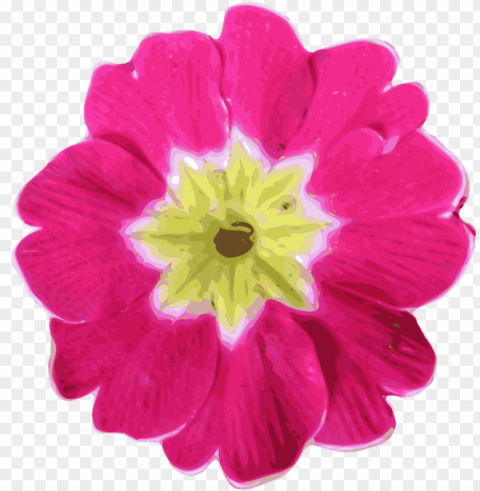 computer icons watercolor painting pink flowers - pink flower PNG transparent photos vast collection