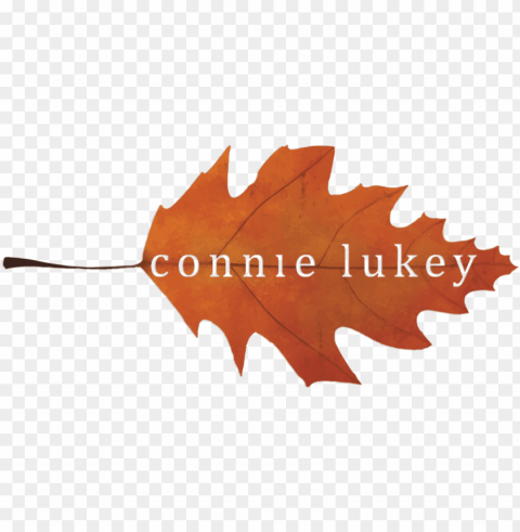 Contact Me - Autum PNG Graphics For Presentations