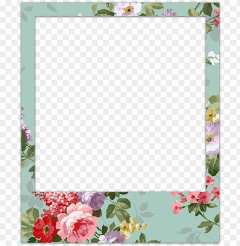 cool pictures - cute tumblr polaroid frame Isolated Item with Transparent PNG Background