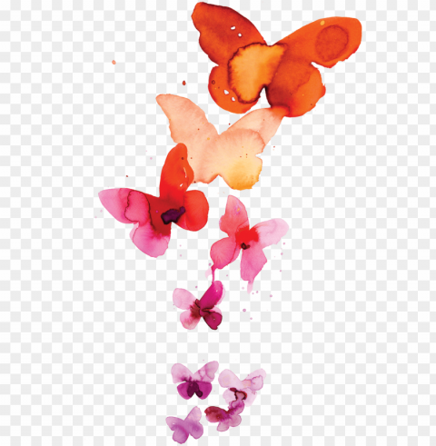 coral butterflies - watercolor butterfly tattoo HighResolution Transparent PNG Isolation