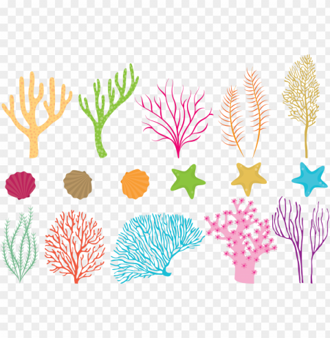 coral reef clipart black and white stock - coral reef vector free download HighQuality Transparent PNG Element