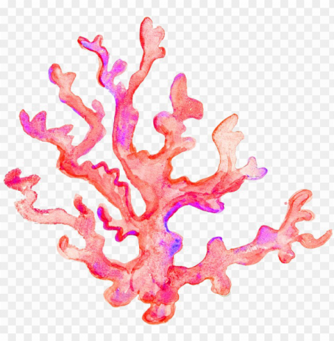coral transparent - coral transparent PNG image with no background
