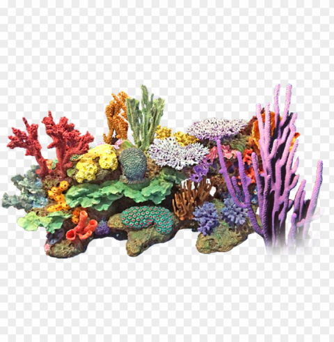 corals Isolated Icon on Transparent PNG