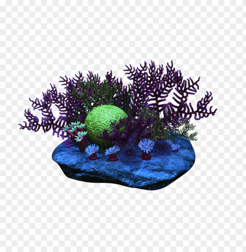 corals Isolated Item in Transparent PNG Format