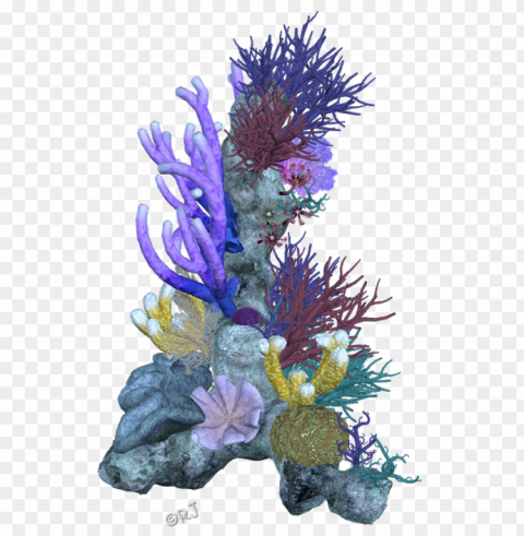 corals Isolated Item on Clear Transparent PNG