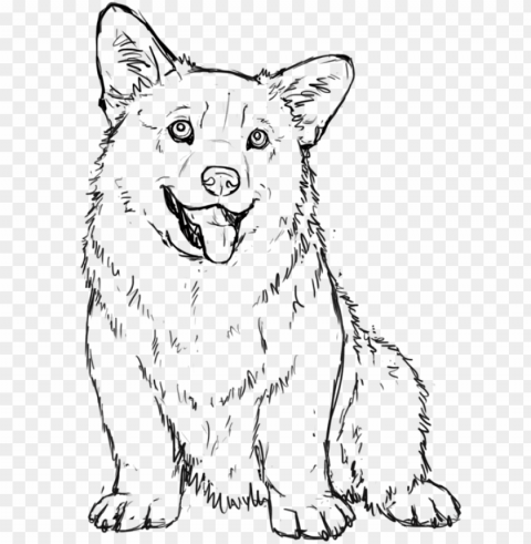corgi drawing - outline of a corgi Isolated Character on Transparent PNG