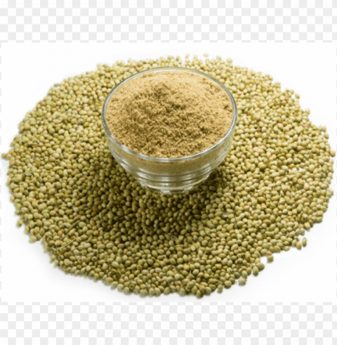 coriander powder Transparent PNG Isolated Object