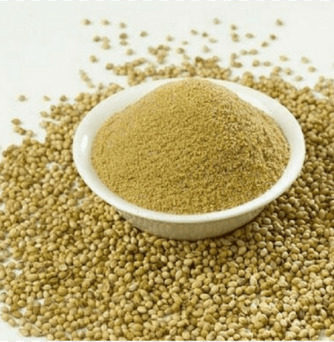 Coriander Powder Transparent PNG Isolated Object With Detail