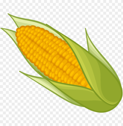 corn clipart - clipart corn on the cob High-definition transparent PNG