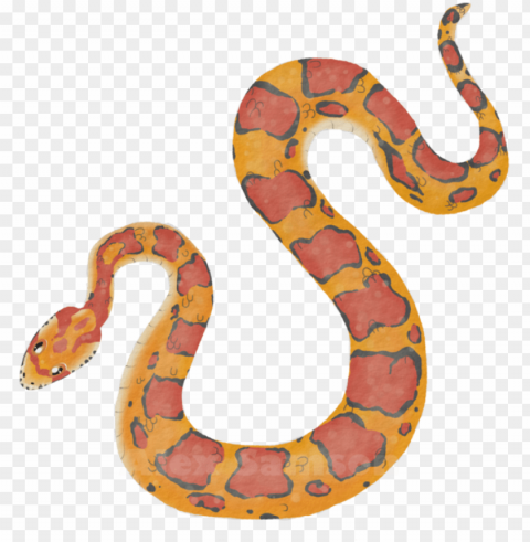 corn snake - dibujo serpiente del maiz Isolated Character on Transparent Background PNG