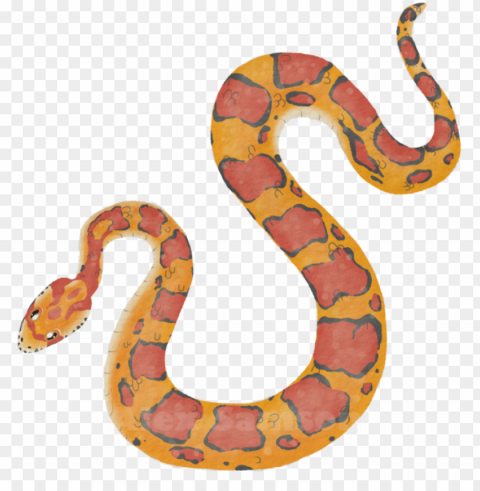 Corn Snake - Dibujo Serpiente Del Maiz Isolated Character On Transparent Background PNG