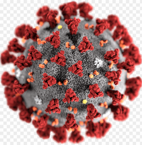 corona virus PNG with no background required