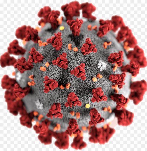 coronavirus PNG with clear background extensive compilation PNG transparent with Clear Background ID eca96cc5