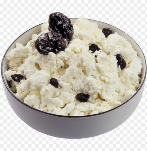 cottage cheese food PNG graphics with transparent backdrop