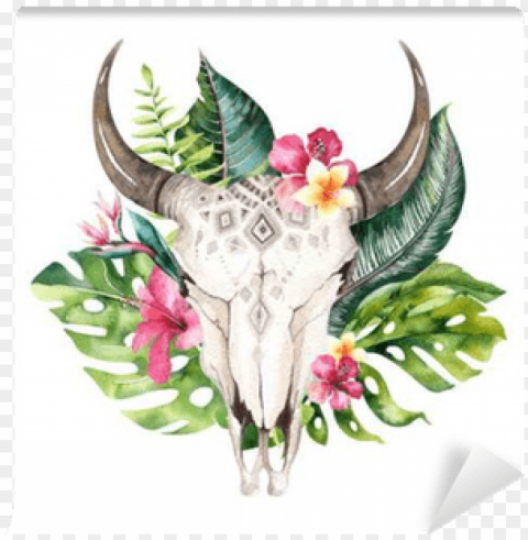 cow skull watercolor art boho No-background PNGs