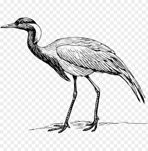 crane drawings bird Transparent PNG graphics bulk assortment