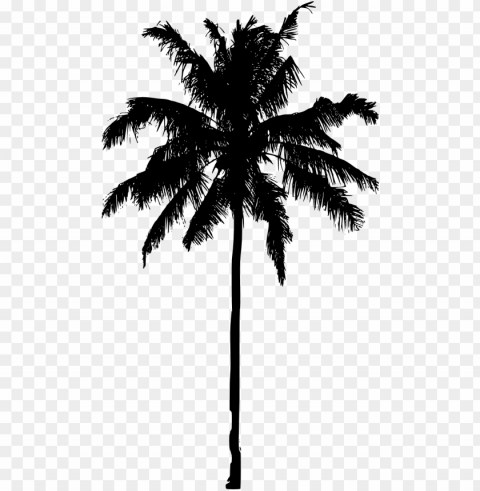 crayon drawing palm tree - palm trees silhouette PNG images with clear alpha channel