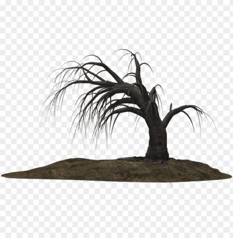 creepy tree 19 by wolverine041269 on clipart library - dead trees Transparent PNG images set