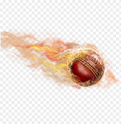 cricket ball fire - cricket Transparent Background Isolated PNG Design