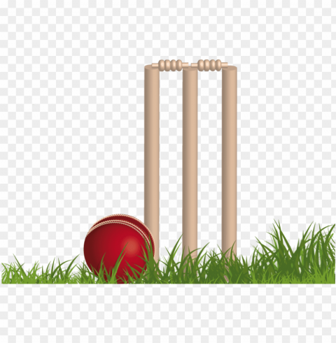 cricket stumps download - cricket Free PNG images with transparent background