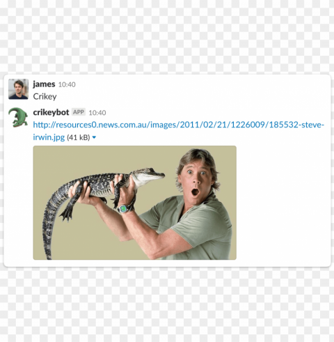 crikey slack integration - steve irwin crocodile hunter costume PNG files with no background wide assortment