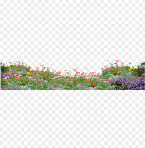 crop image photoshop elements overlays wildflowers - flowers in garden PNG with transparent bg
