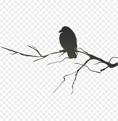 crow clipart branch silhouette - raven on a branch silhouette CleanCut Background Isolated PNG Graphic