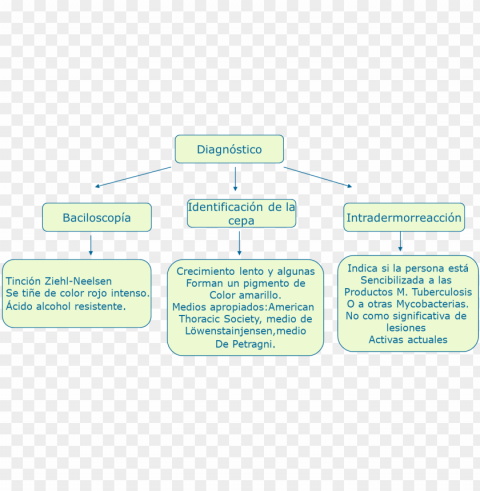 cuadros sinópticos mycrobacterium - cuadro de la tuberculosis Isolated Object with Transparent Background in PNG