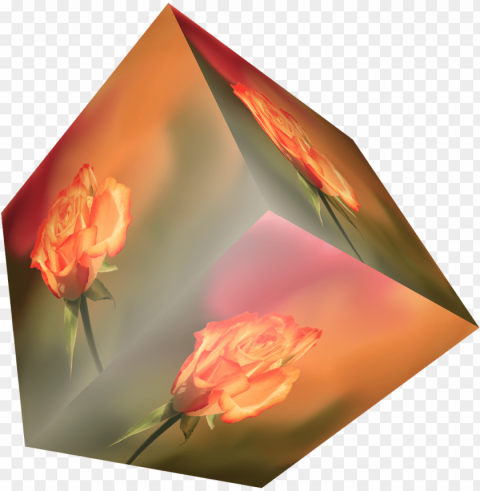 cube flower rose orange dwürfel background - Цветок Прозрачный Фон Transparent PNG Isolated Artwork