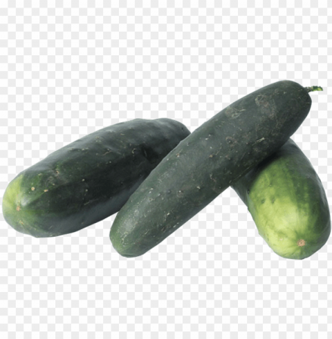 cucumber Isolated Subject on Clear Background PNG