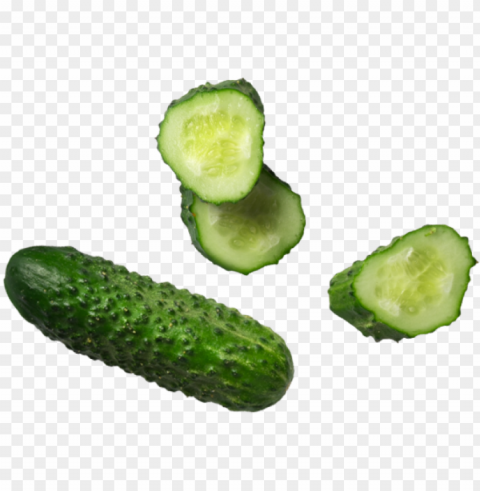 cucumber - spreewald gherkins Free PNG transparent images