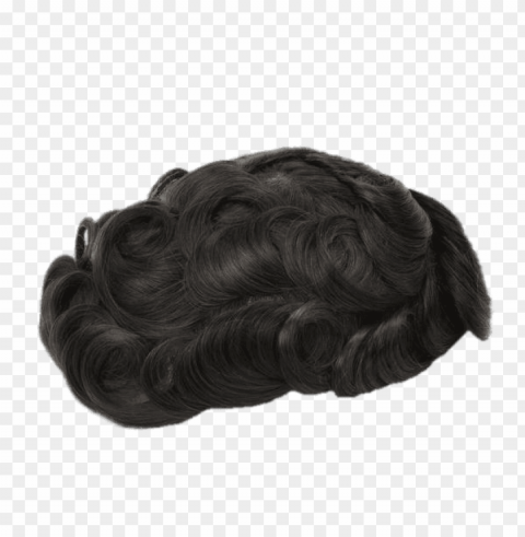curly hair toupee Transparent PNG Isolated Subject Matter