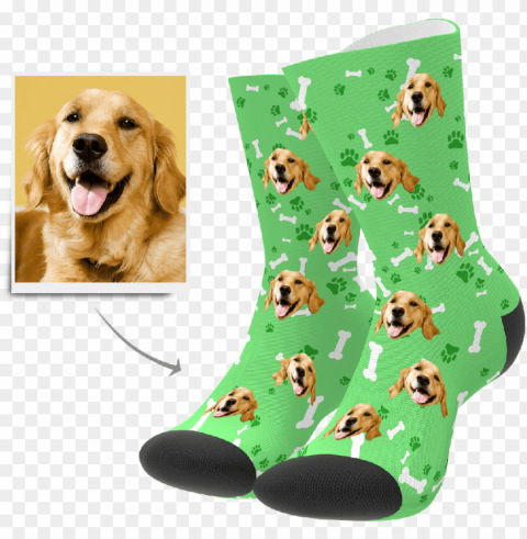 custom dog socks put any face on socks myphotosocks - toe socks with dog faces Transparent Background PNG Isolated Illustration