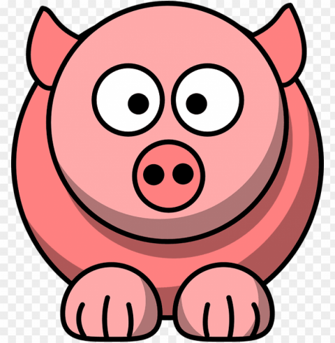 custom pink pig cartoon throw blanket Clear PNG pictures package