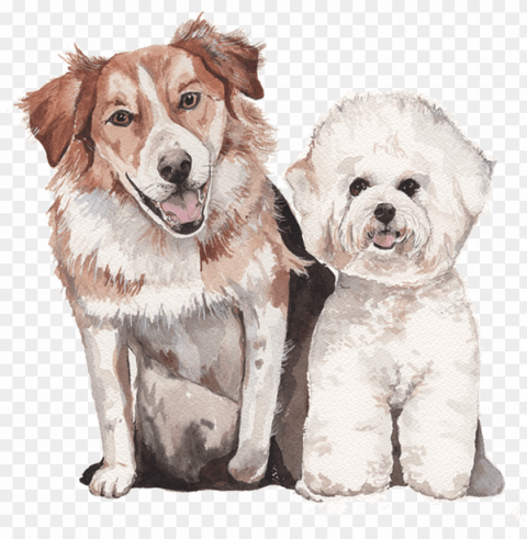 custom watercolor pet portrait - watercolor dog PNG transparent vectors