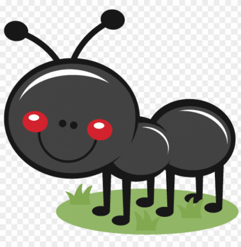 Cute Ant PNG Images With High Transparency