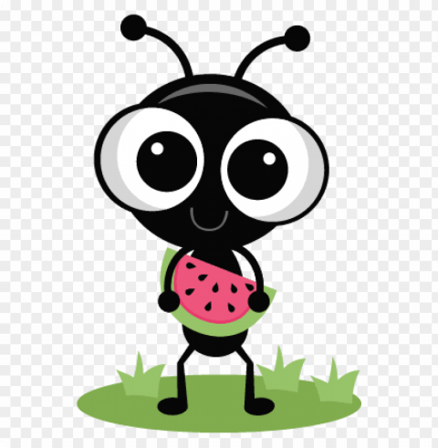 cute ant transparent PNG images with no background assortment