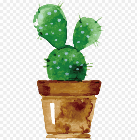 cute cactus drawing watercolor PNG images with alpha transparency wide collection