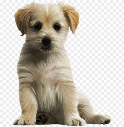 cute dog PNG clear background PNG transparent with Clear Background ID b8815647