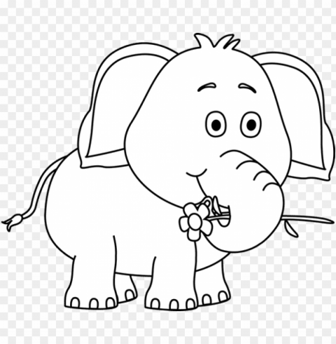 cute elephantblack and white Clear Background Isolation in PNG Format PNG transparent with Clear Background ID 1ffc9a42